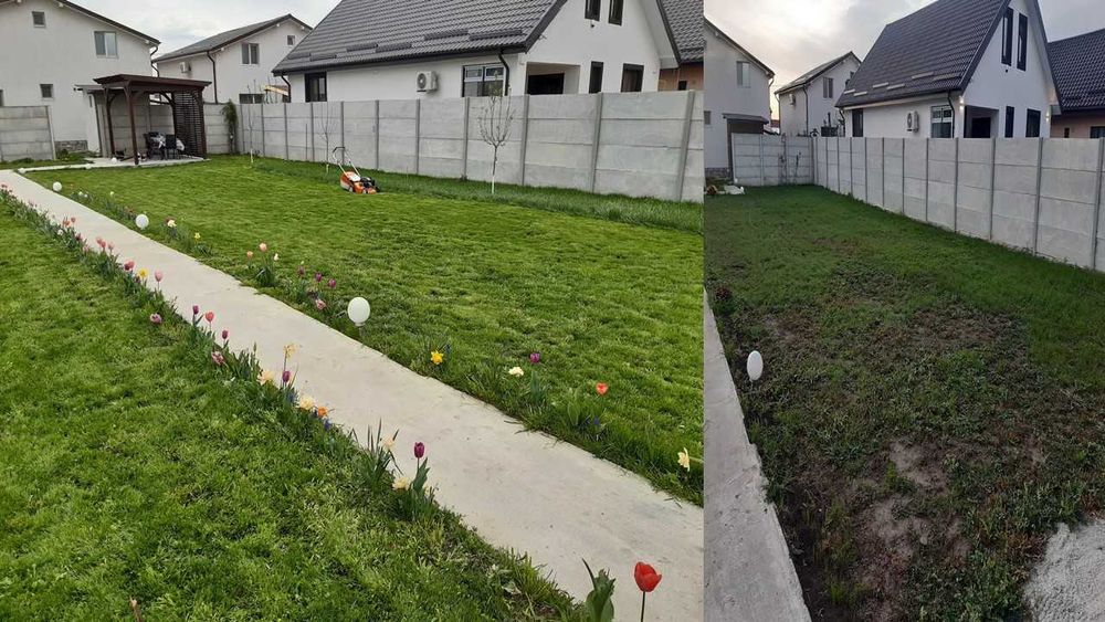 Intretinere gradini si spatii verzi