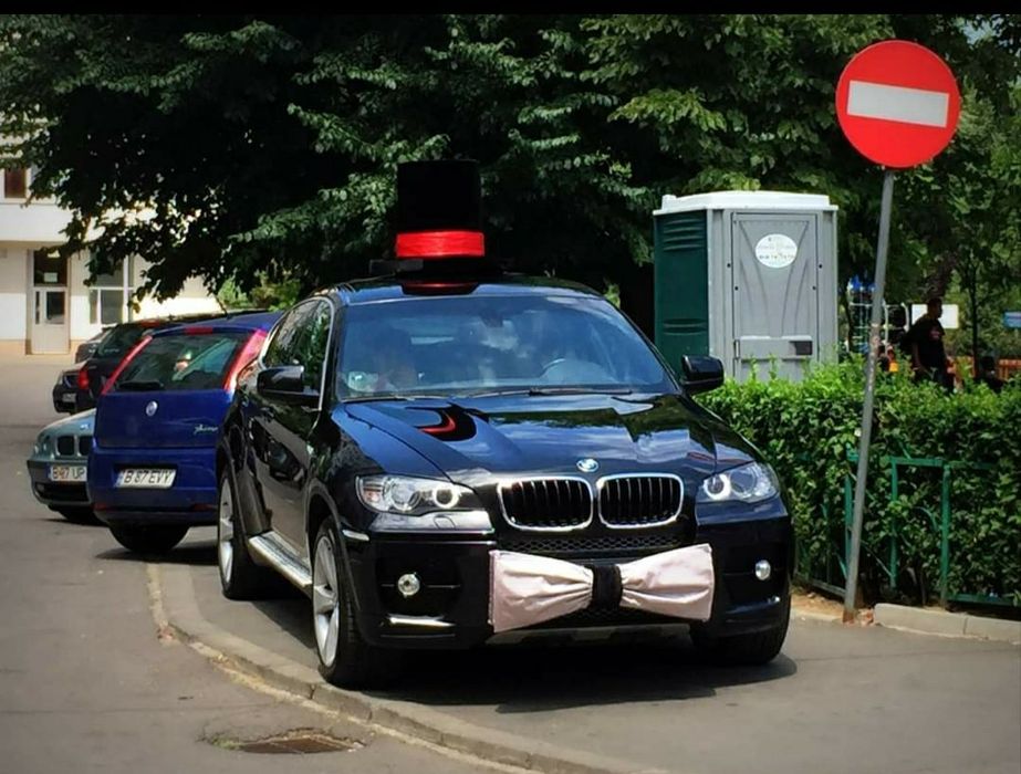 Vand decoratiuni gigant masini nunta