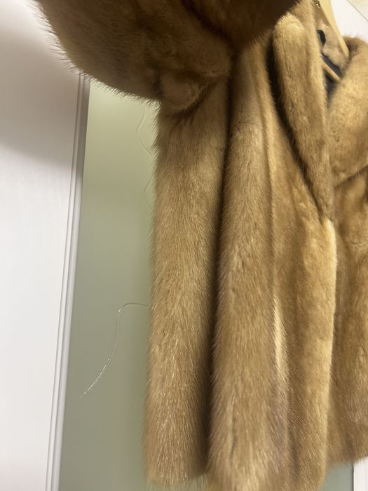 Haina nurca scurta M/L miniona