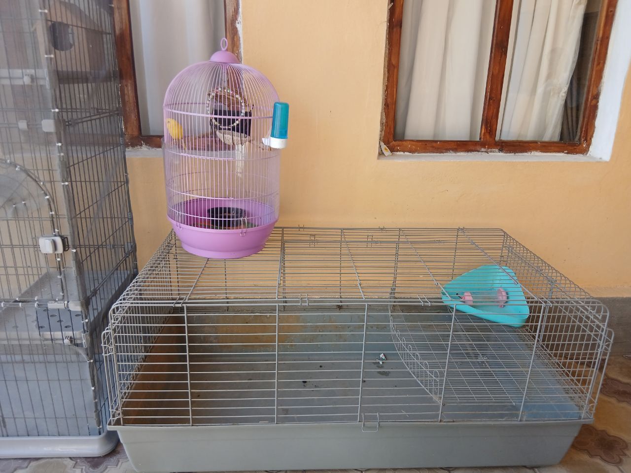 Qapas boyi 1,5 metir keyin quyoniyam uy bor