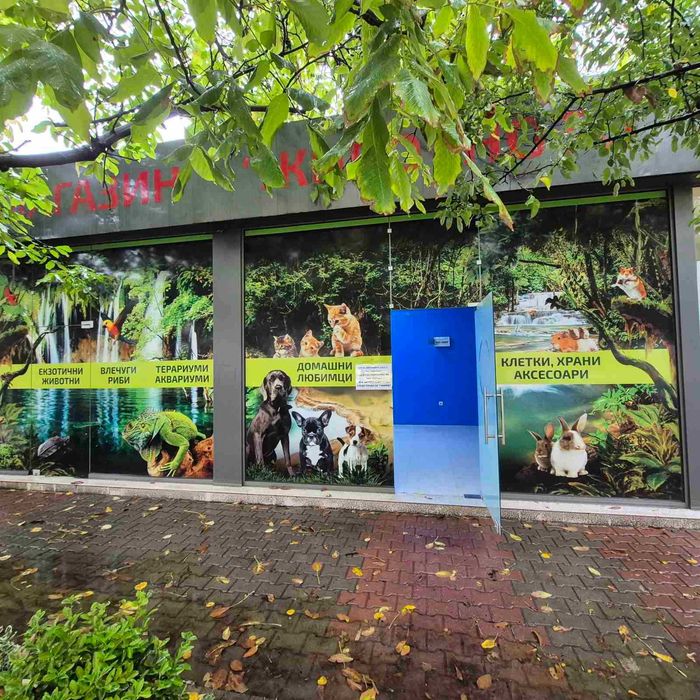 Магазин в самостоятелна сграда в Дружба 2