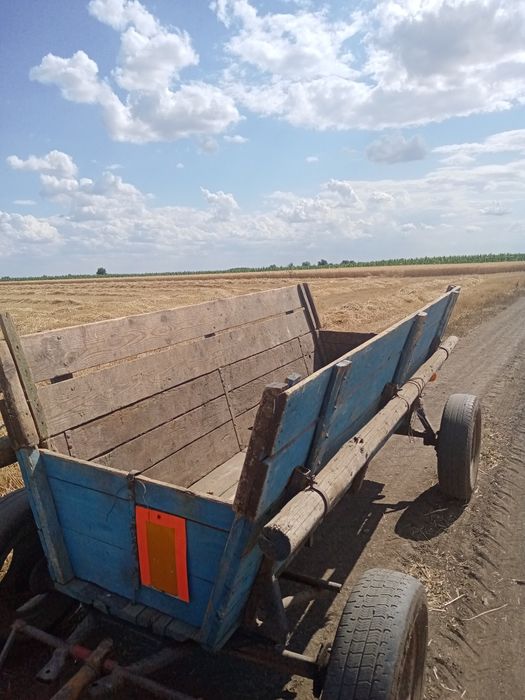 Caruță cu proțap pentru tractorașe.