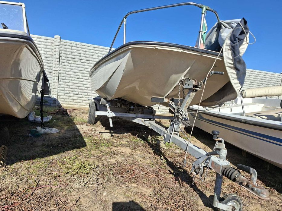 Boston Whaler cu motor Evinrude 20 cp si peridoc