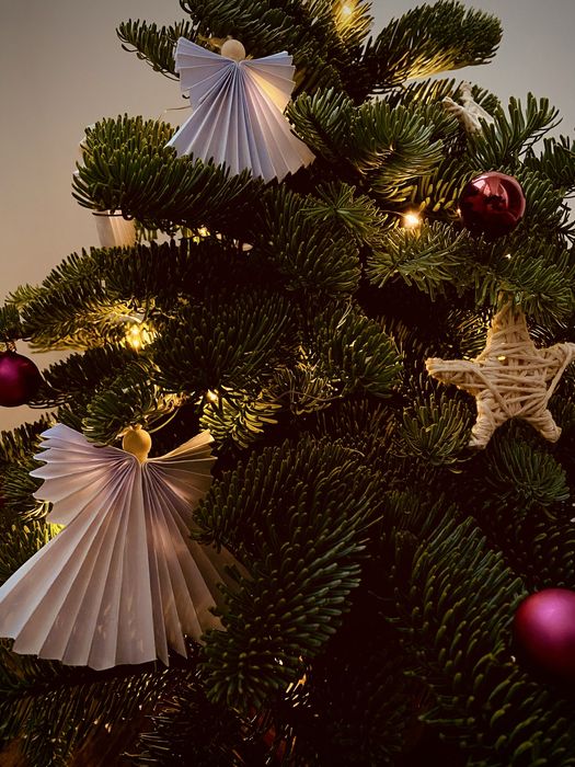 Coronite si braduti de Craciun din brad natural