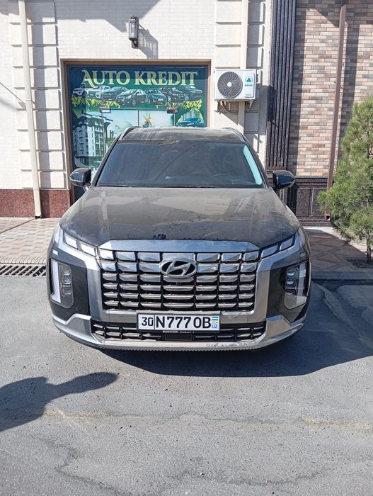 PALISADE  Сотилади