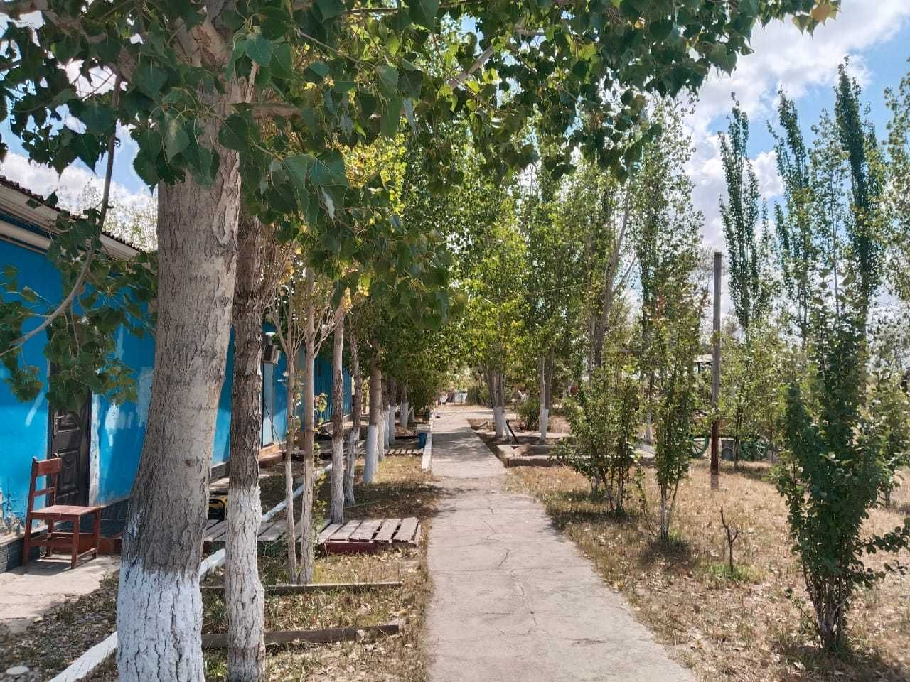 Продается участок 3 га с готовым бизнесом и эскизом логистической базы