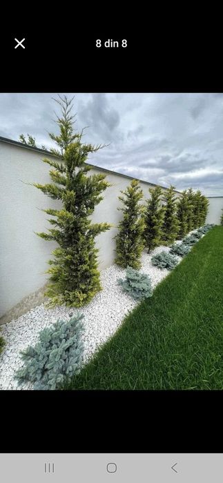 Marmura piatra decorativa