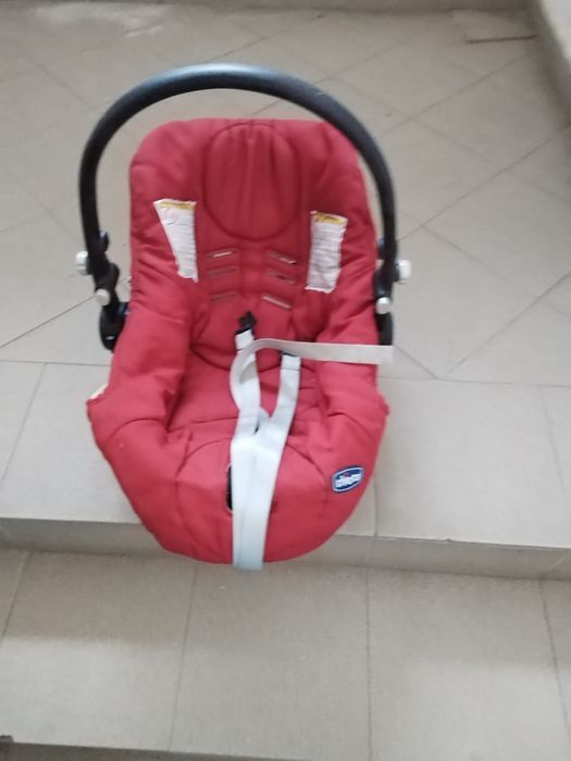 Scoica landou chicco