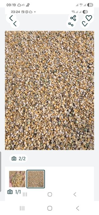 Продам гороховыйе отходы