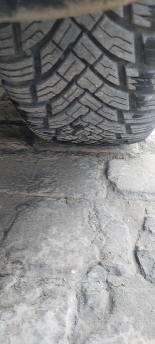 Turkiya Petlas r 15balon