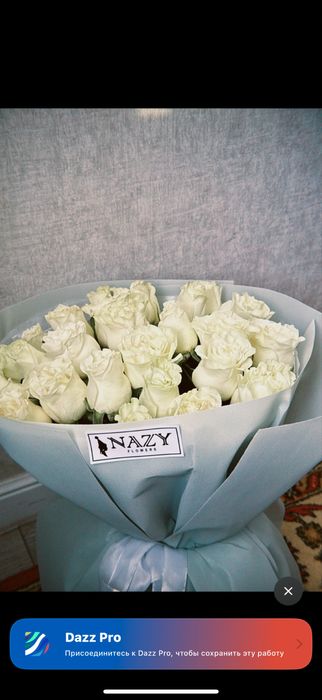 Цветы свежий роза