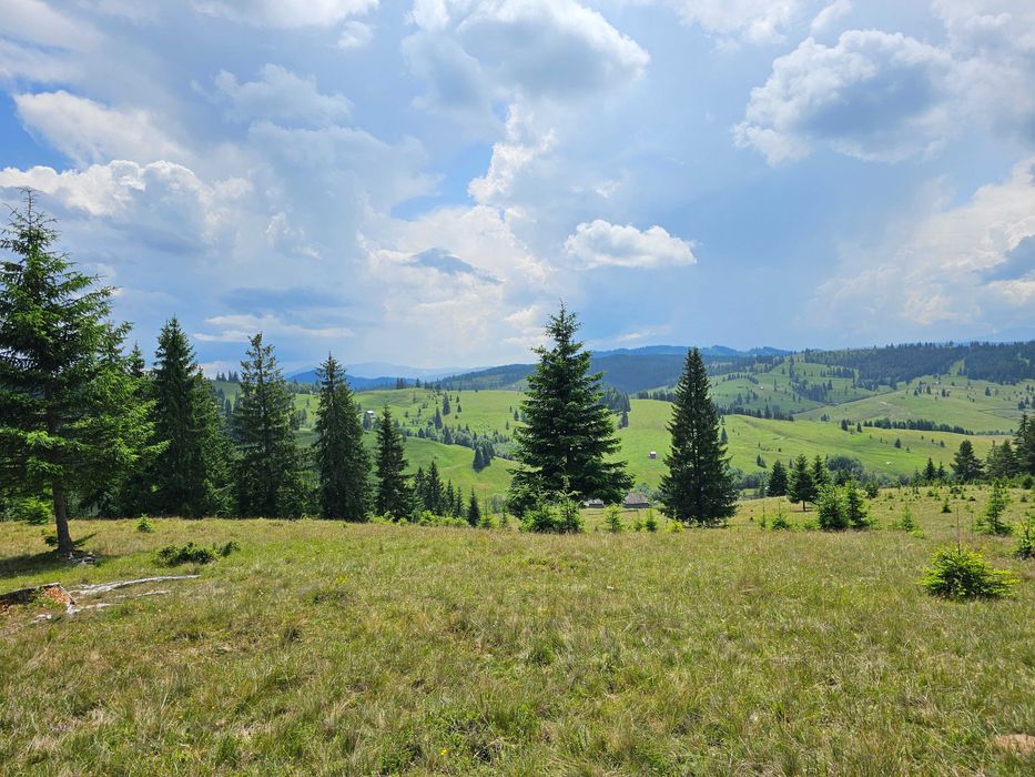 Proprietate de vanzare 92.554.mp ( 9.25 ha) in Bucovina zona Breaza