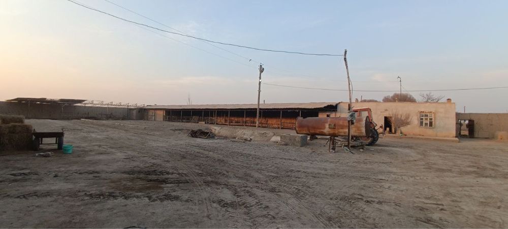 Чорвачиликга ихтисослашган фермахона бино иншоотлари сотилади