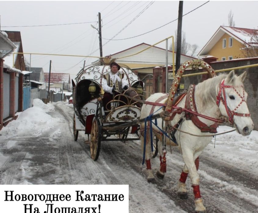 Лошади. Кареты,Сани,Кони,Пони.
