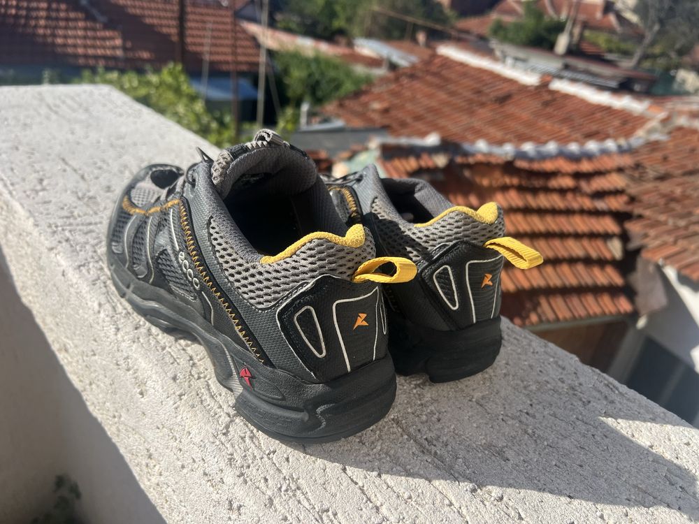 Ecco Receptor 43