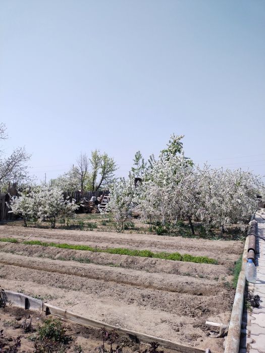 Продается дача 16,73 соток