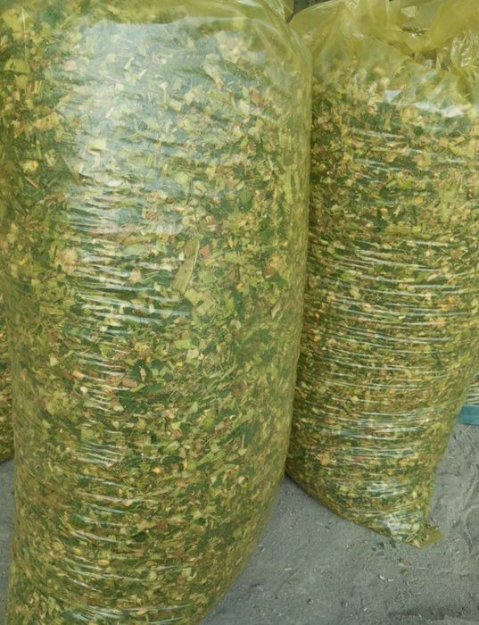 Силос сотилади.  .