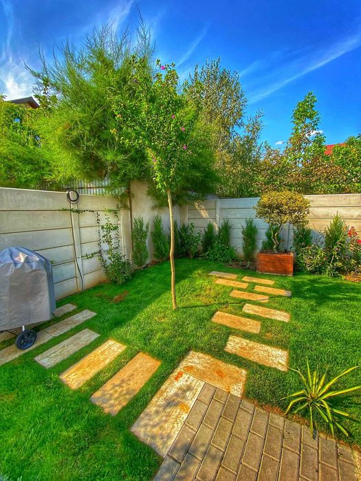 Transport și Montaj Profesionist 20 Ani | Tuia, Lilandrii, Brazi