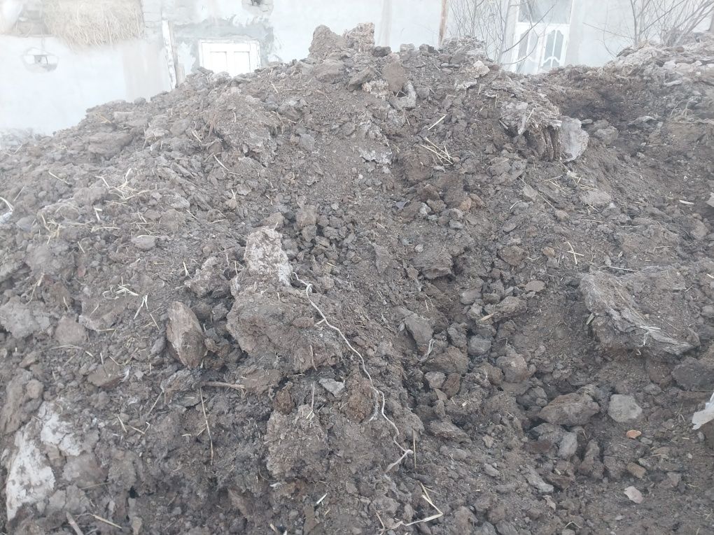 Mol VA tovuk darsi sotiladi