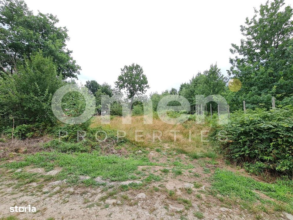 Teren intravilan de vânzare | 1.656 mp | 69.000 € | strada Murelor | G