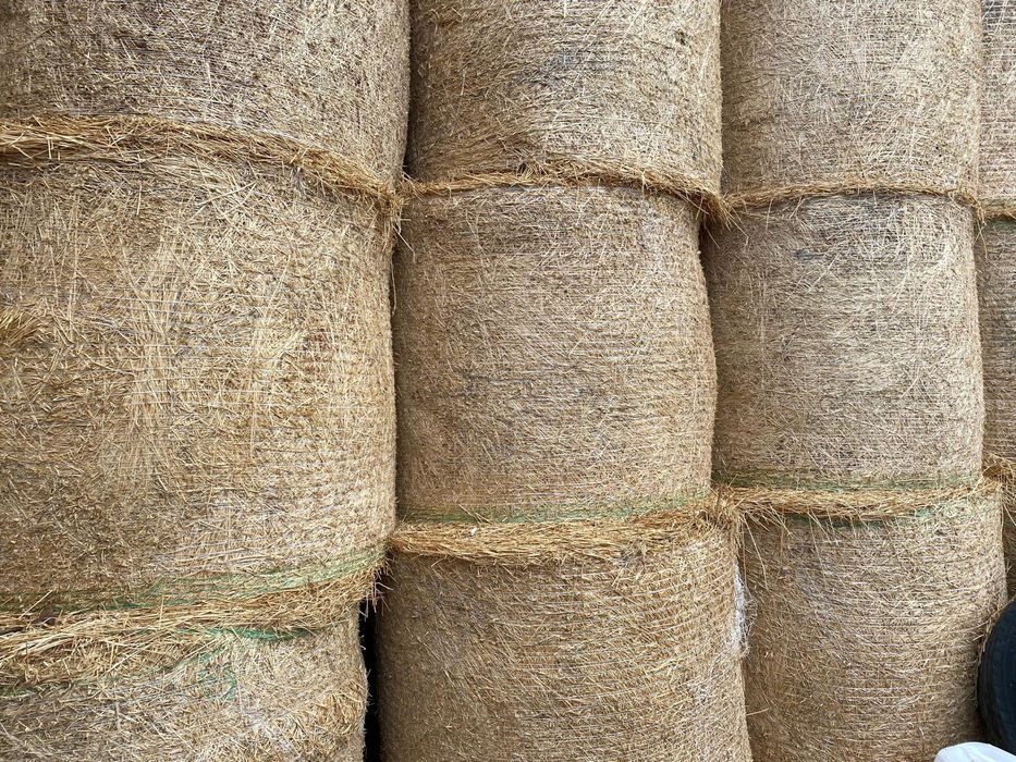 Vând Baloti de Lucerna.