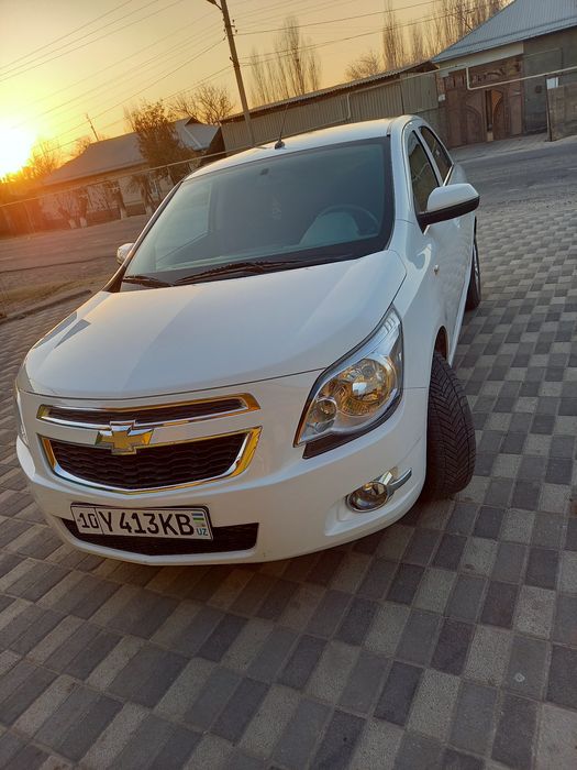 Коблыт сотыладии