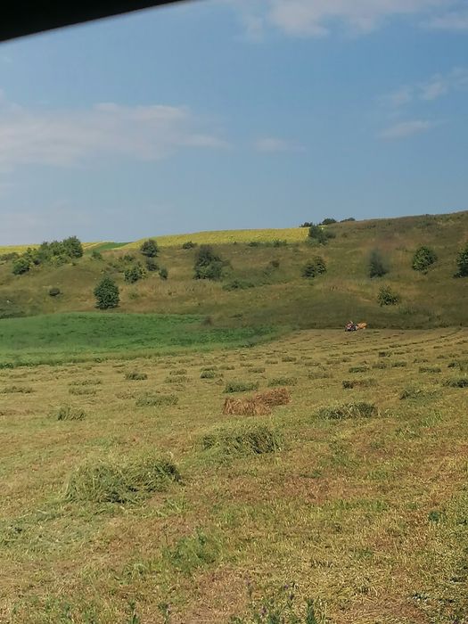 baloti , fîn 20. ron, , ghizdei 25  ron ofer transport