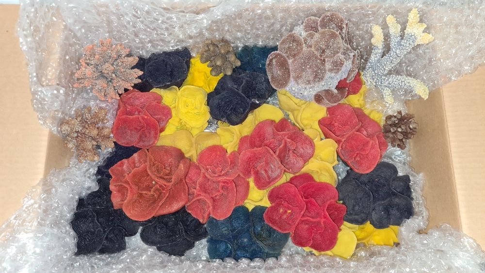 Corali artificiali pentru acvarii