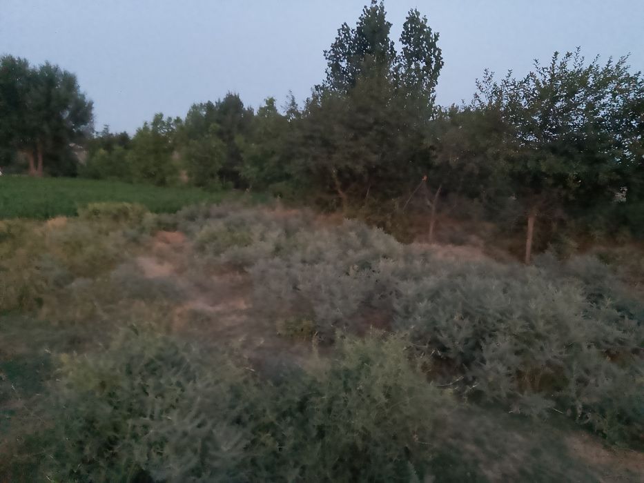 Ishtxon kuktepa yer