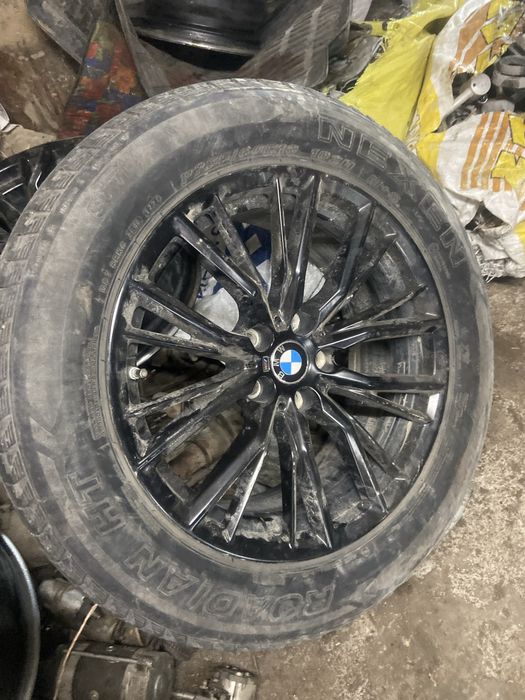 xolati zor 1 2 kichkina petno bor