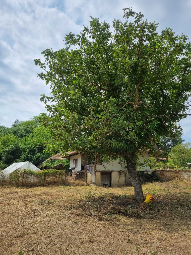 Продава се Парцел в с. Ломци, Област Търговище - 4959 кв.м за 9 €/кв.м - Снимка #11