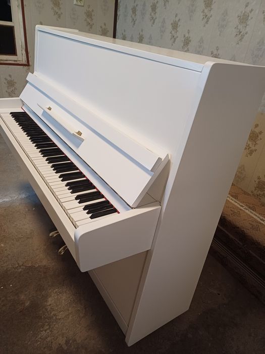 Oq rangli sifatli Belarus