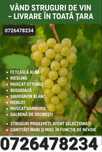 Vand struguri de vin