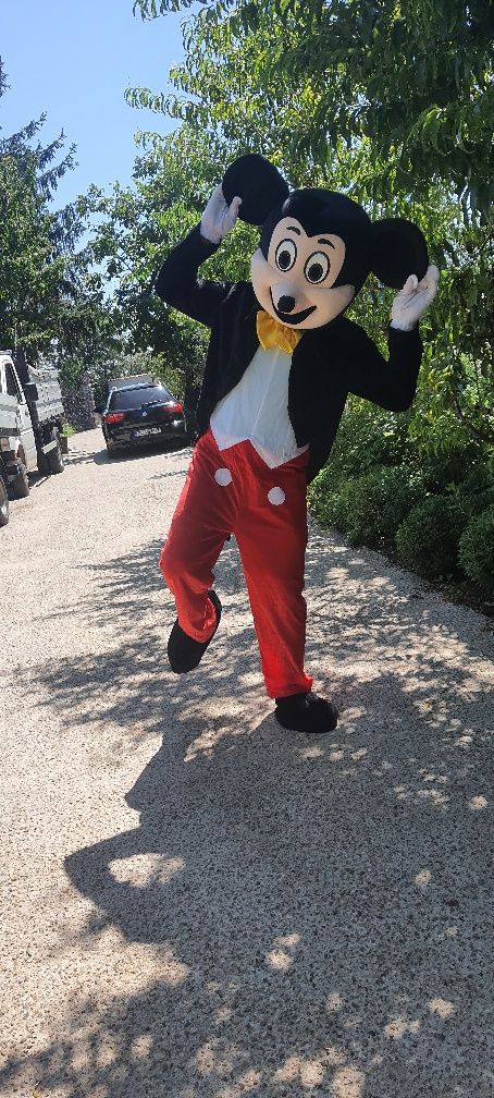 Costume Mickey și Minnie