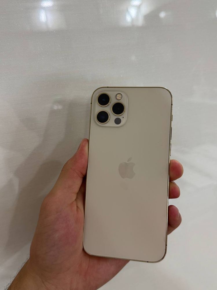 Iphone 12 pro xolati ideal 10/10