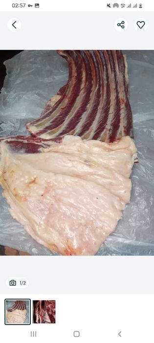 Жылқы етіп жабағылар