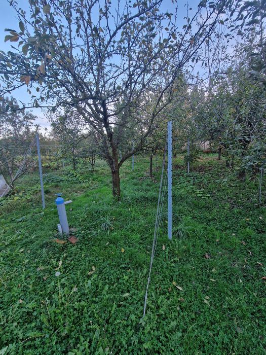 Vând teren intravilan (loc de casă)