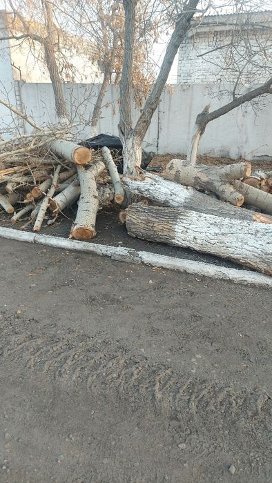 Дрова отдам бесплатно