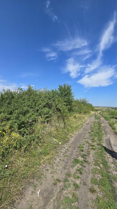 Vand teren agricol Dealul Fanatelor