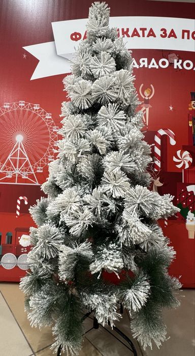 Страхотни коледни заснежени гъсти елхи