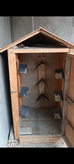 Продам Гонний будка для воспитания Голубей Турецский Такла