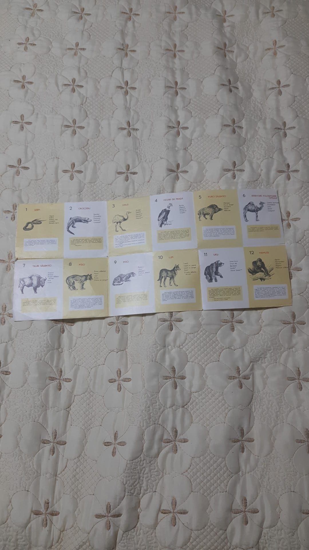 joc perioada comunista animale din continente