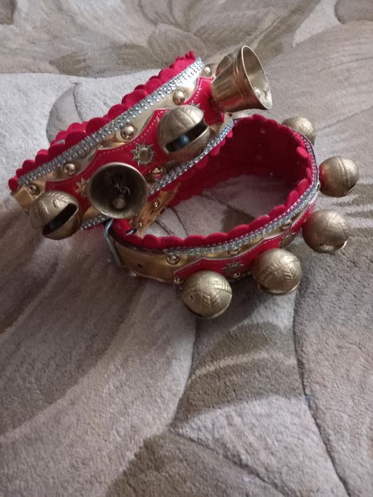 Zgarda din piele pentru caini