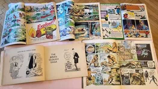 Reviste PIF si Rahan