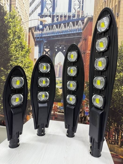 Erku prajekter 1 yil granta