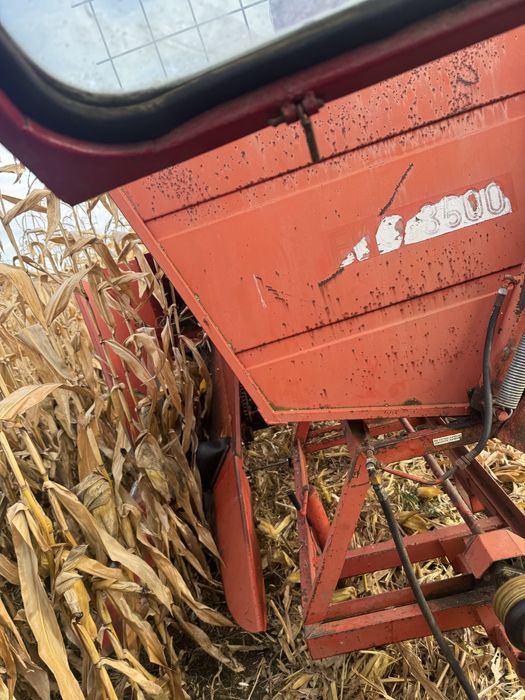 Vând porumb știuleți!!!