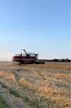Fiatagri Laverda 3790