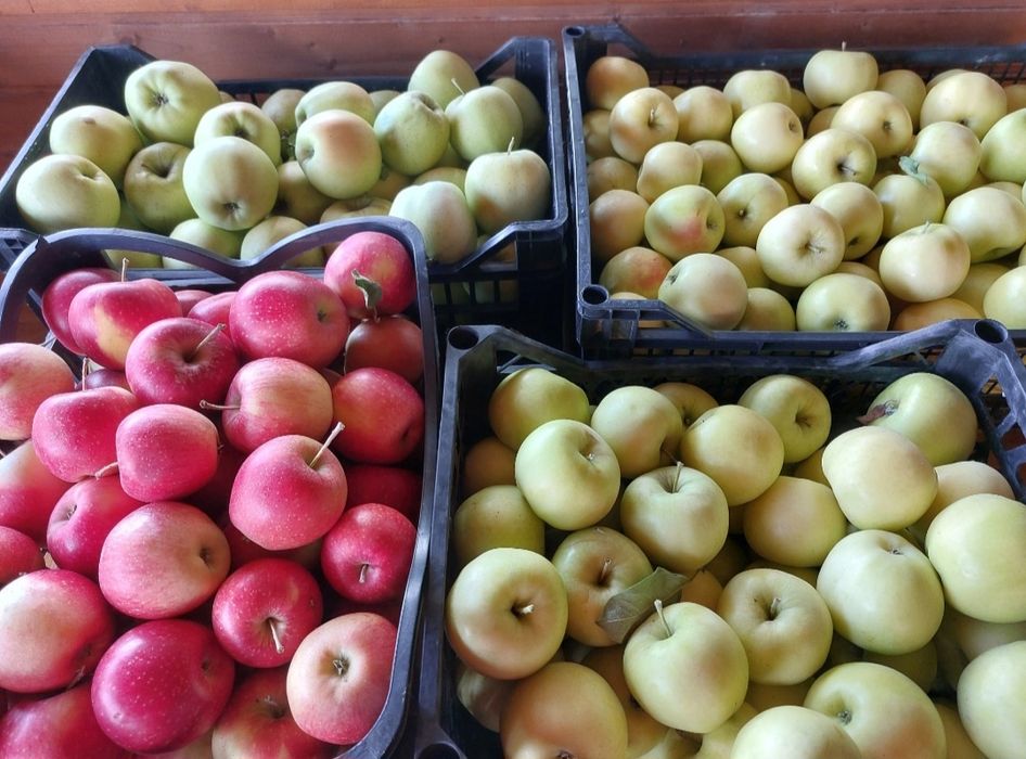 Suc de mere proaspăt