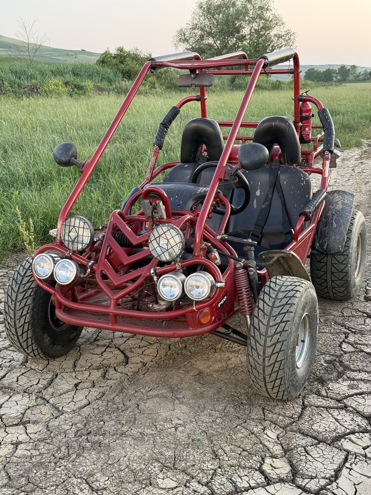 Buggy motor bashan