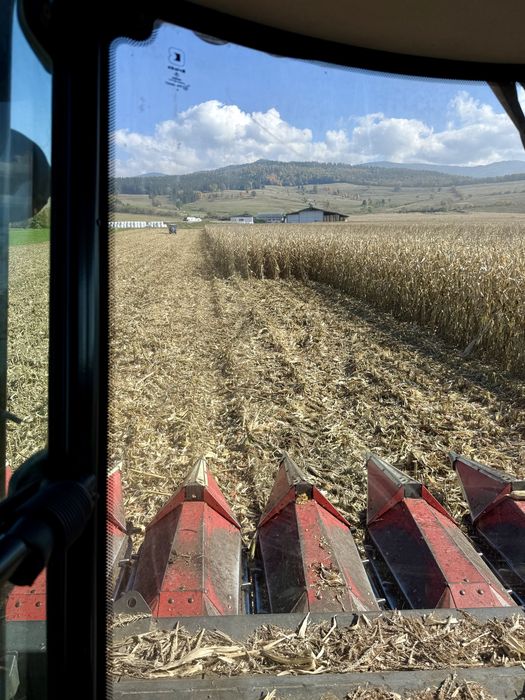 Prestari servicii agricole cu combina